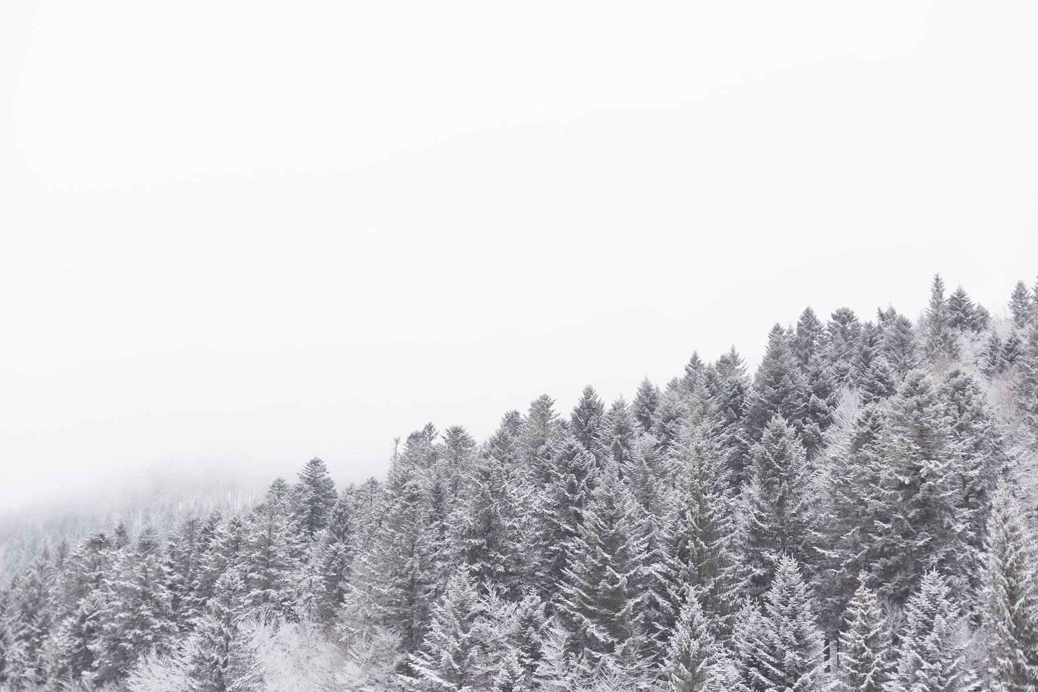 Winter paradise, Les Vosges